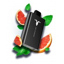 Pod descartable Ignite V80 8000 puffs Grapefruit Mint