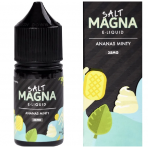 LÍQUIDO MAGNA SALT STRAWBERRY KIWI ICE 30ml 50MG – Indy Argentina