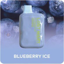 Pod descartable Lost Mary OS5000 Blueberry Ice